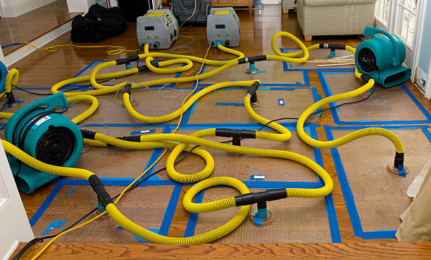 Professional Basement Flood Cleanup technician working in Mesopotamia, OH